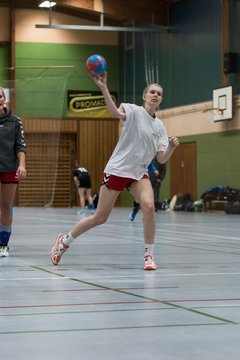 Bild 65 - Damen HSG Kremperheide/M�nsterdorf - Suchsdorfer SV : Ergebnis: 39:22